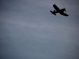 fliegen0803 25